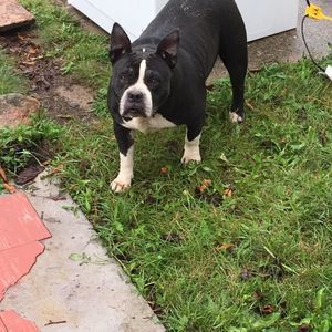 Meet your Posher, Sabree